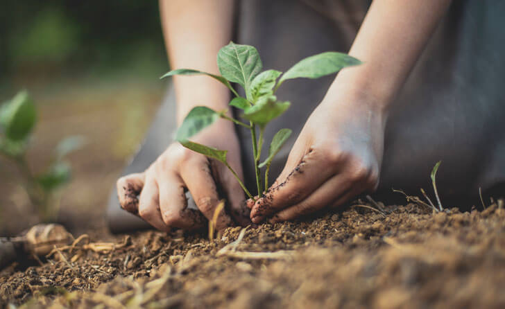 Jayasom Sustainable Operations